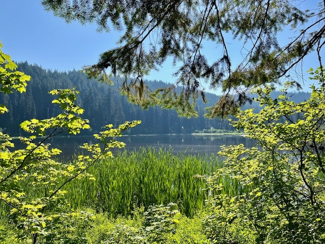 Marion Mountain